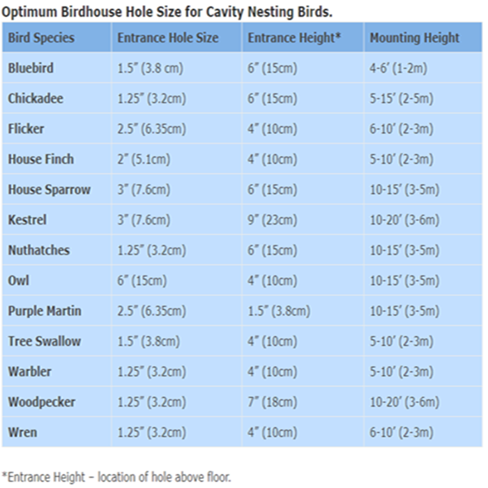 Bluebird House Hole Size Chart