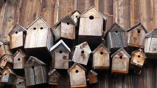 where to place a birdhouse, best place to put a birdhouse, best place to hang a birdhouse, how to place a birdhouse