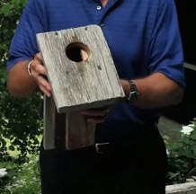 Bluebird House Plans Sparrow Resistant