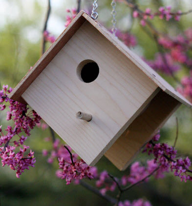 Bird house plans, bird house plan, birdhouse plan 