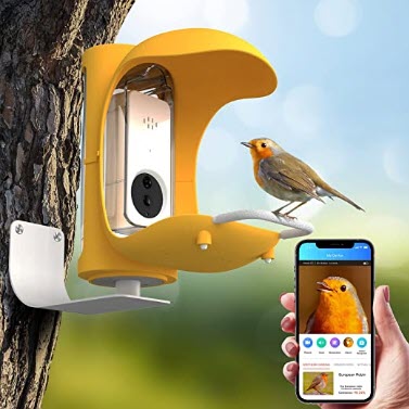 bird feeder with camera, bird feeder camera