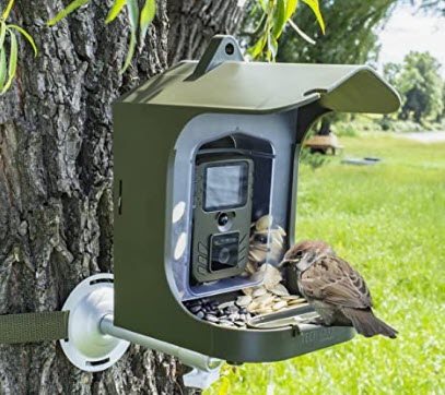 bird feeder with camera, bird feeder camera