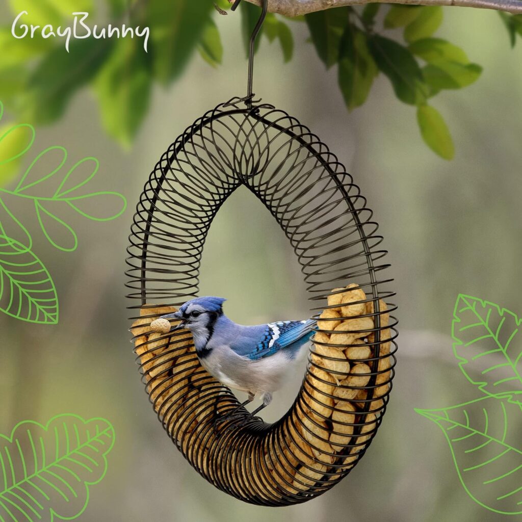 blue jay feeder, blue jay bird feeder